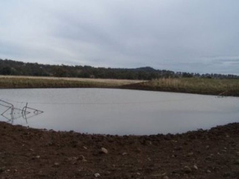 0 0, Willow Tree NSW 2339