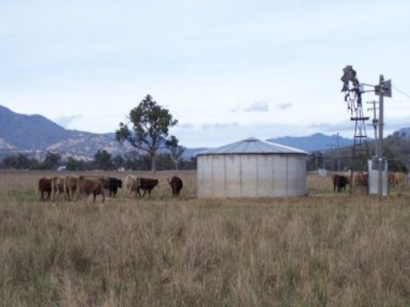 0 0, Willow Tree NSW 2339