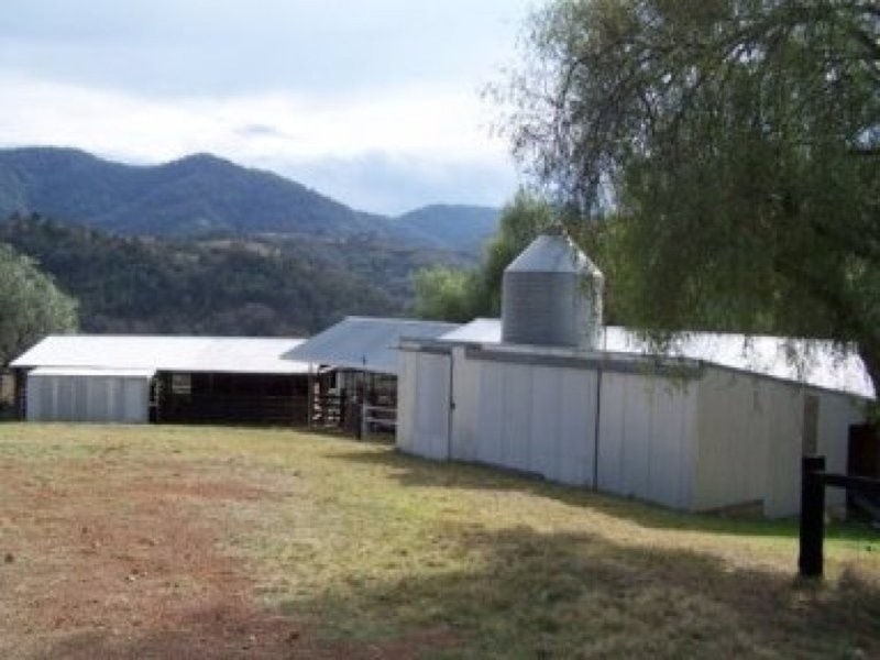 0 0, Piallamore NSW 2340