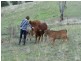 0 0, Piallamore NSW 2340
