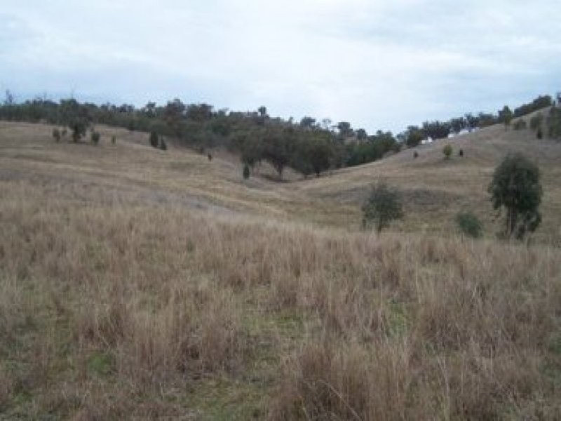 0 0, Piallamore NSW 2340