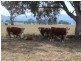 0 0, Tamworth NSW 2340