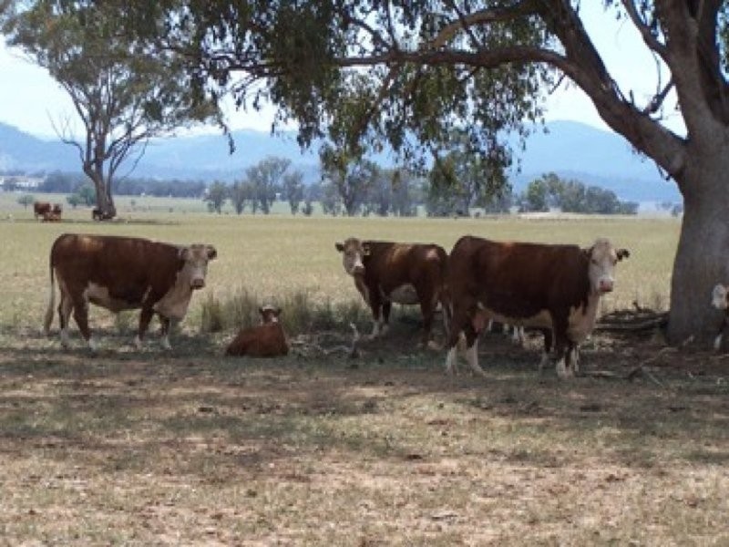 0 0, Tamworth NSW 2340