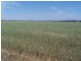 0 0, Tamworth NSW 2340