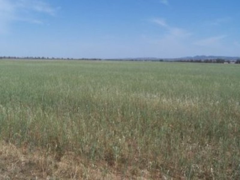 0 0, Tamworth NSW 2340