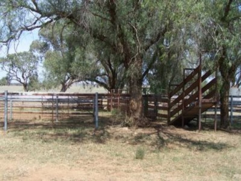 0 0, Tamworth NSW 2340