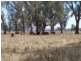 0 0, Tamworth NSW 2340