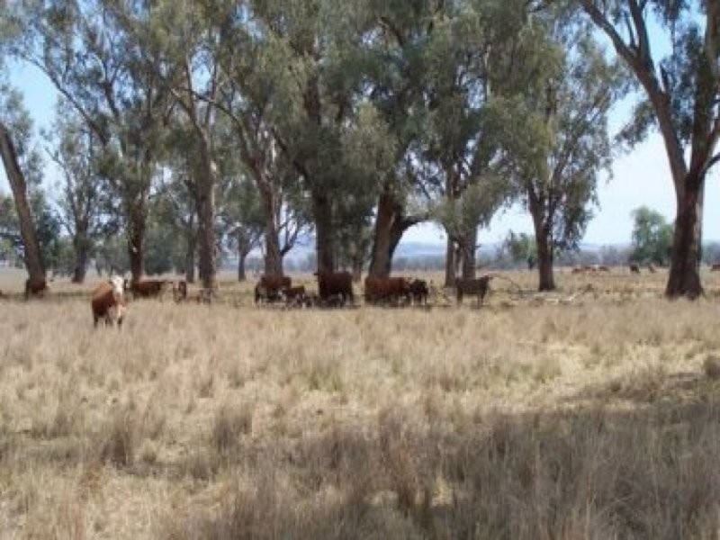 0 0, Tamworth NSW 2340