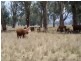0 0, Tamworth NSW 2340
