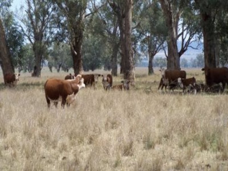 0 0, Tamworth NSW 2340