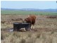 0 0, Tamworth NSW 2340