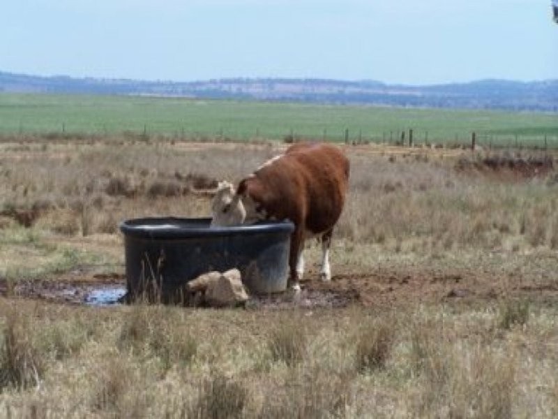 0 0, Tamworth NSW 2340