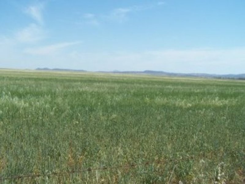 0 0, Tamworth NSW 2340