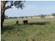 0 0, Tamworth NSW 2340