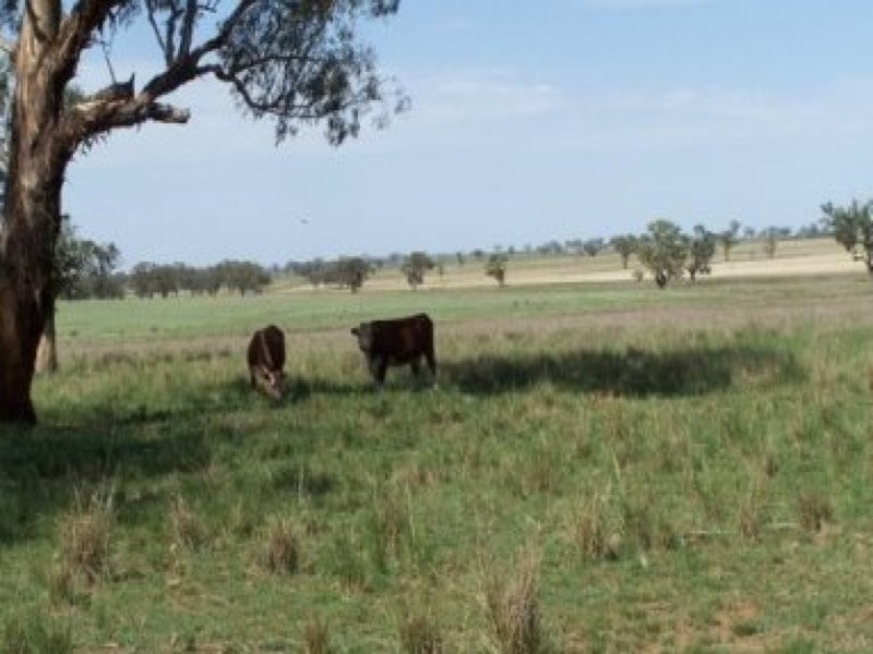 0 0, Tamworth NSW 2340