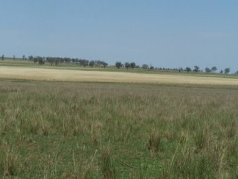 0 0, Tamworth NSW 2340