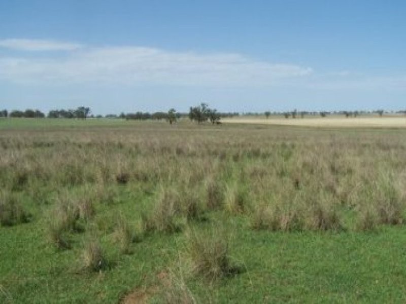 0 0, Tamworth NSW 2340
