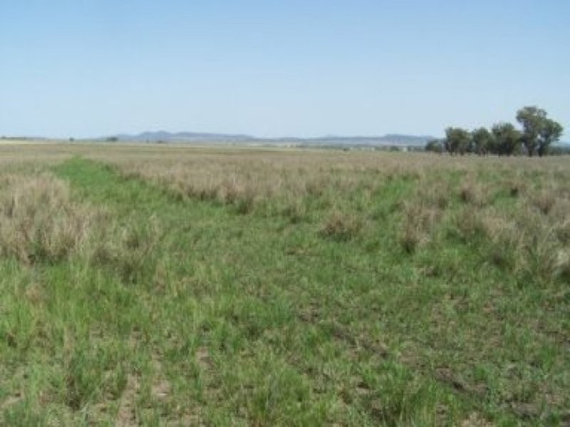 0 0, Tamworth NSW 2340