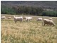 0 0, Moore Creek NSW 2340
