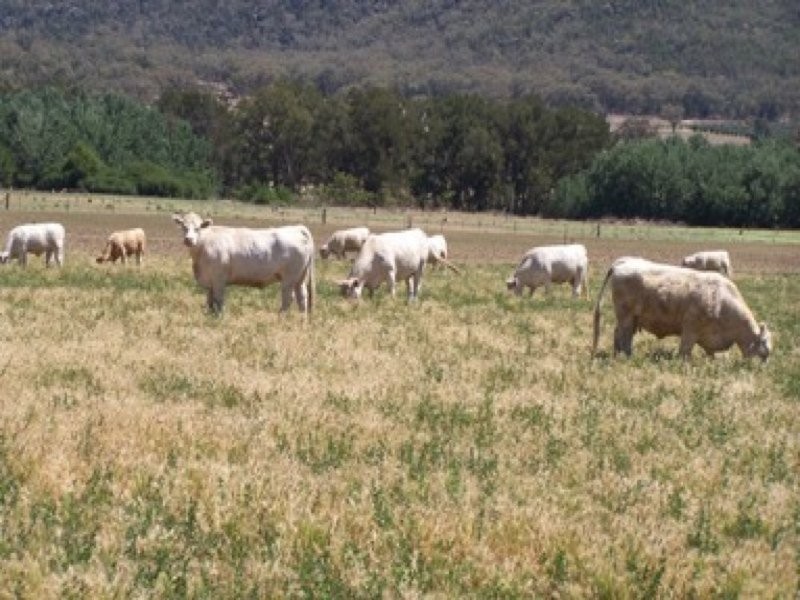 0 0, Moore Creek NSW 2340
