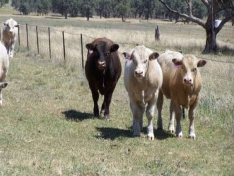 0 0, Moore Creek NSW 2340