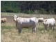 0 0, Moore Creek NSW 2340