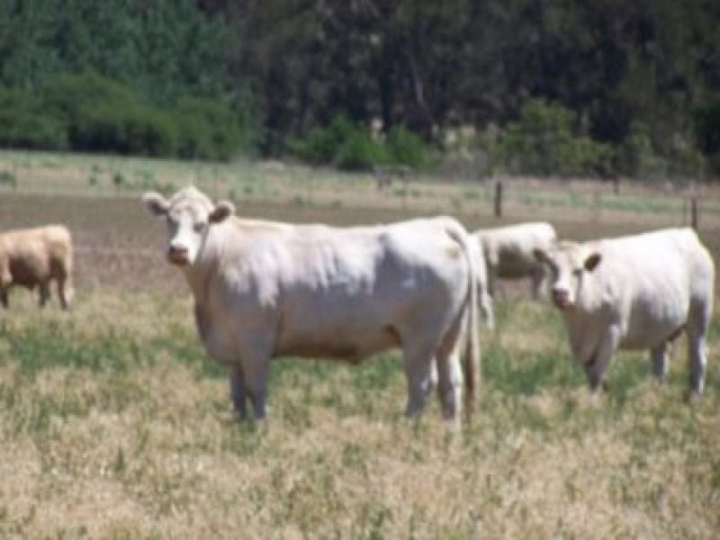 0 0, Moore Creek NSW 2340