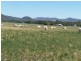 0 0, Moore Creek NSW 2340