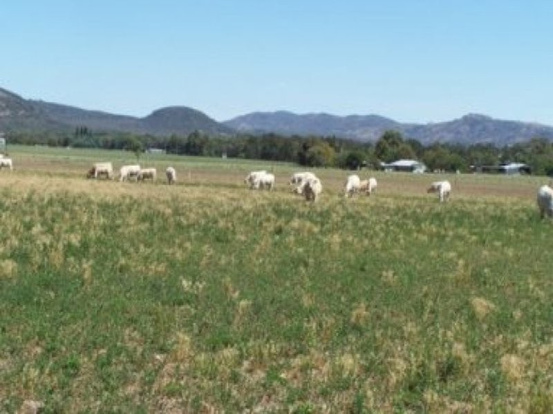 0 0, Moore Creek NSW 2340