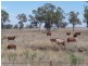 0 0, Warialda NSW 2402