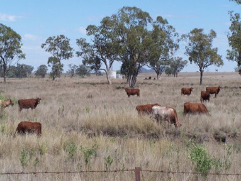 0 0, Warialda NSW 2402