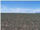 0 0, Warialda NSW 2402