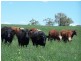 0 0, Tamworth NSW 2340