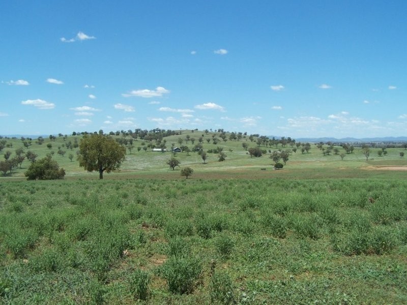 0 0, Tamworth NSW 2340