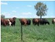 0 0, Tamworth NSW 2340