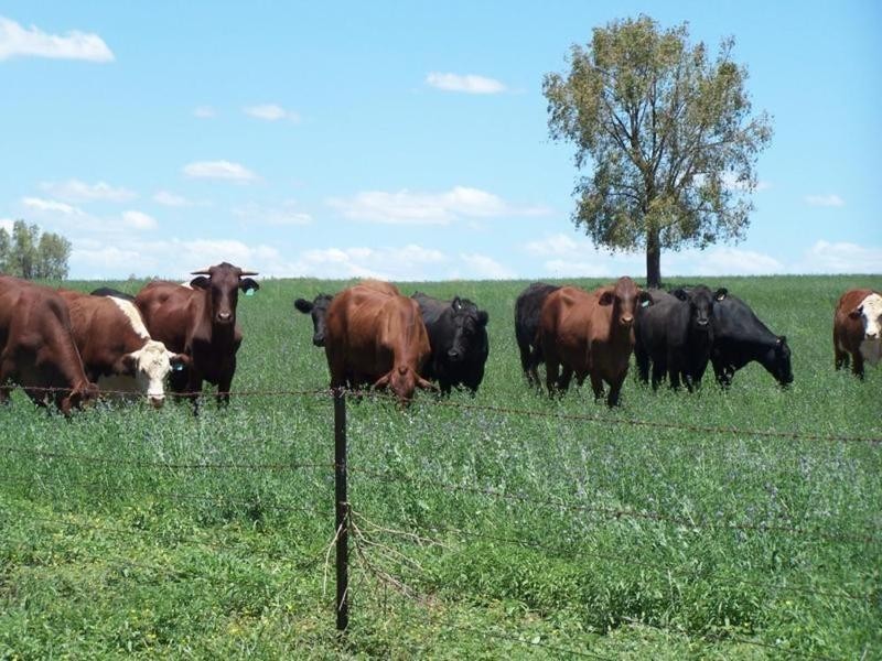 0 0, Tamworth NSW 2340