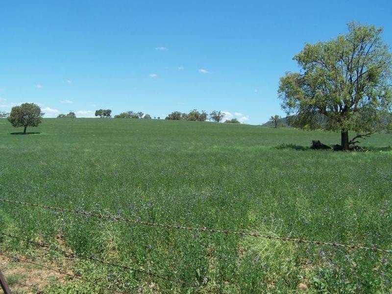 0 0, Tamworth NSW 2340
