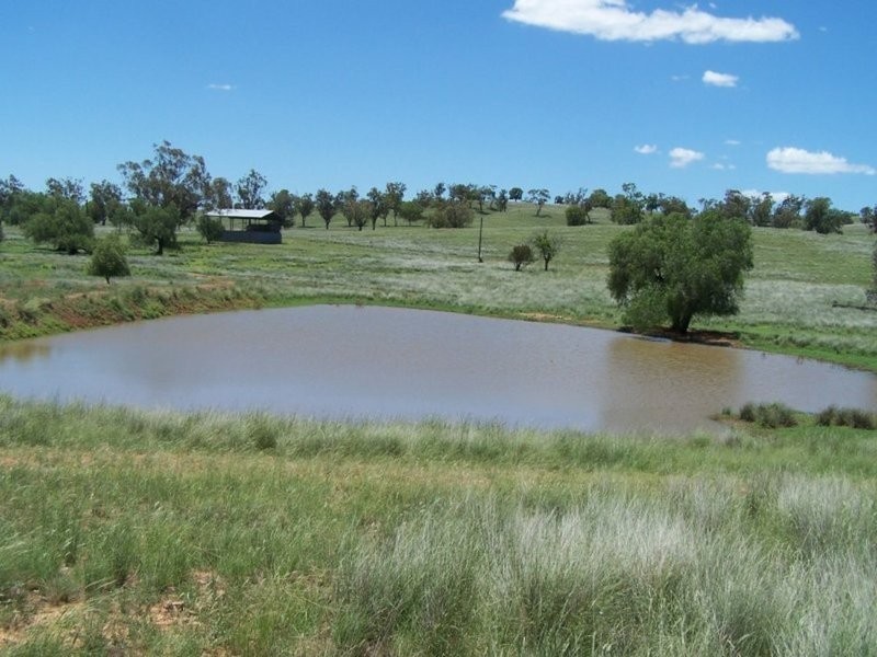 0 0, Tamworth NSW 2340