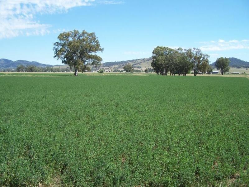 0 0, Tamworth NSW 2340