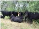 0 0, Calala NSW 2340