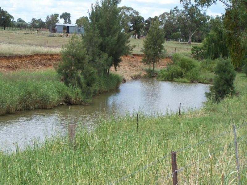 0 0, Calala NSW 2340