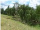 0 0, Calala NSW 2340