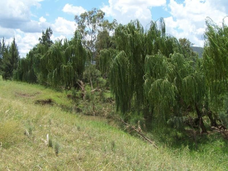 0 0, Calala NSW 2340