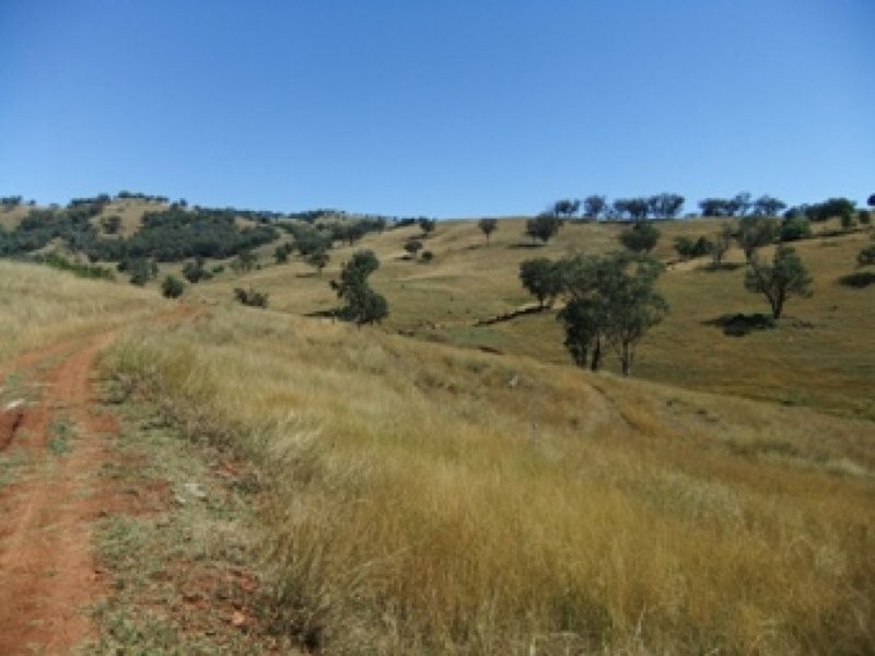 0 0, Tamworth NSW 2340