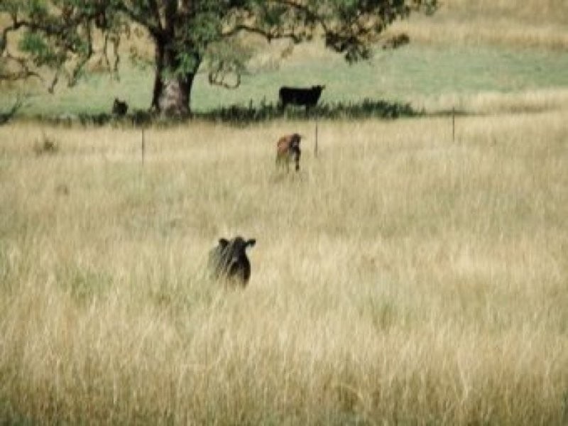 0 0, Tamworth NSW 2340