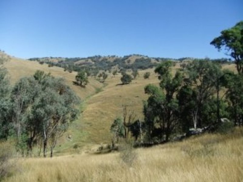 0 0, Tamworth NSW 2340