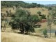 0 0, Tamworth NSW 2340