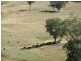 0 0, Tamworth NSW 2340