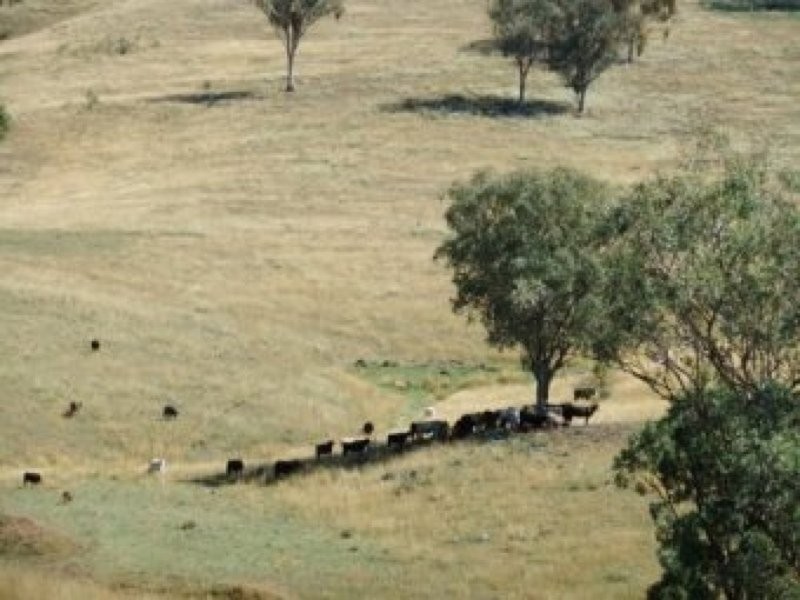 0 0, Tamworth NSW 2340
