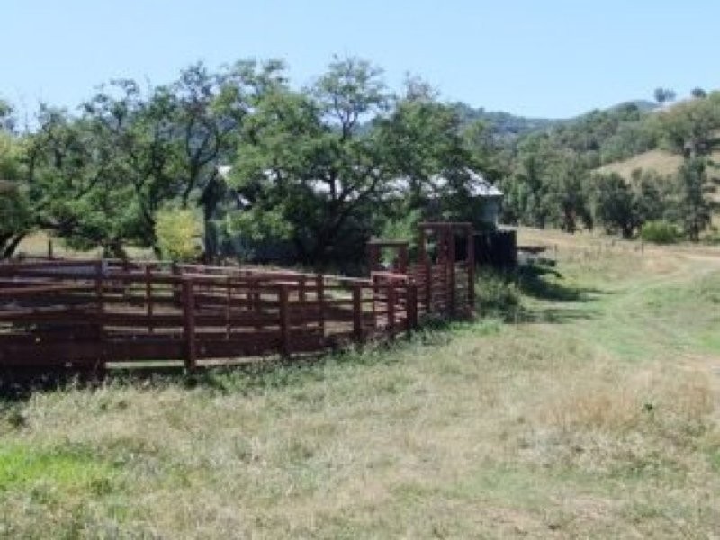 0 0, Tamworth NSW 2340